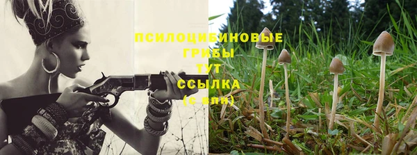 PSILOCYBIN Новочеркасск