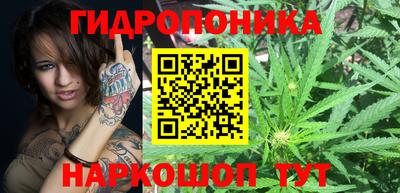 шишки Берёзовский