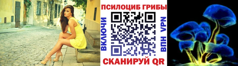 omg ТОР  сколько стоит  Железногорск  мориарти телеграм  Псилоцибиновые грибы Magic Shrooms 
